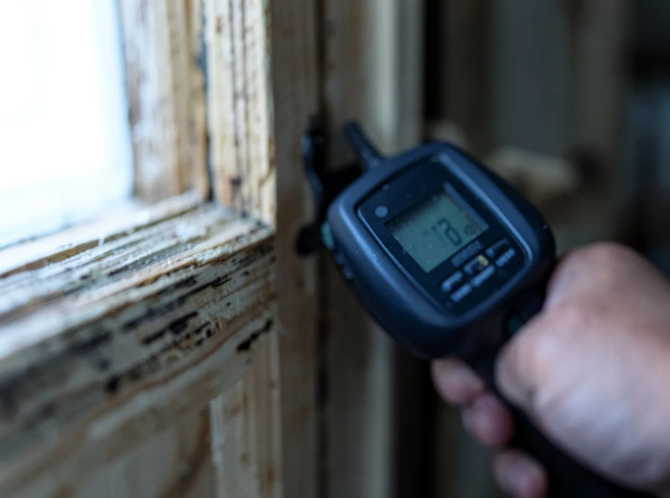 Moisture Inspection And Documentation in Medicine Bow, WY